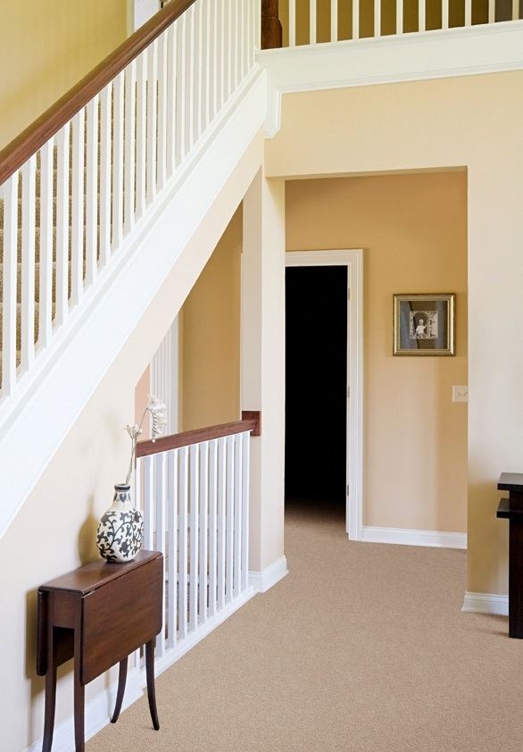 Carpet in a hallway and adjoining rooms