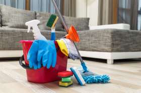 Cleaning products for a vinyl floor