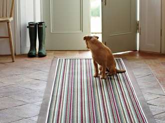 Pet Friendly Flooring